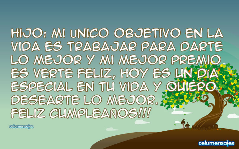 Hijo: Mi único objetivo en la vida es trabajar para darte lo mejor y mi mejor premio es verte feliz, hoy es un día especial en tu vida y quiero desearte lo mejor. Feliz cumpleaños!!!