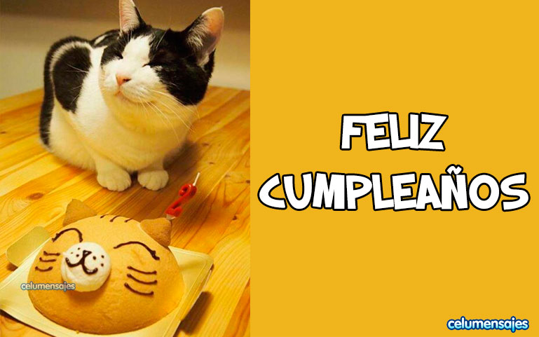 Feliz Cumpleaños