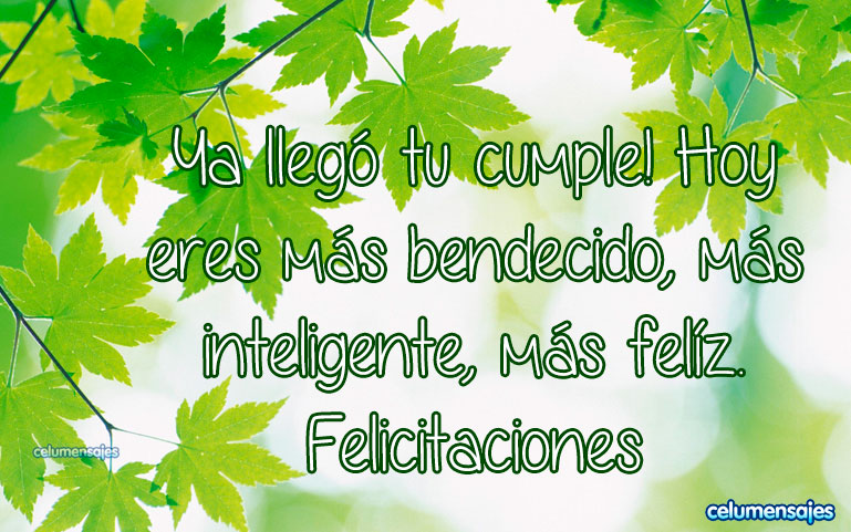 Ya llegó tu cumple! Hoy eres más bendecido, más inteligente, más felíz. Felicitaciones
