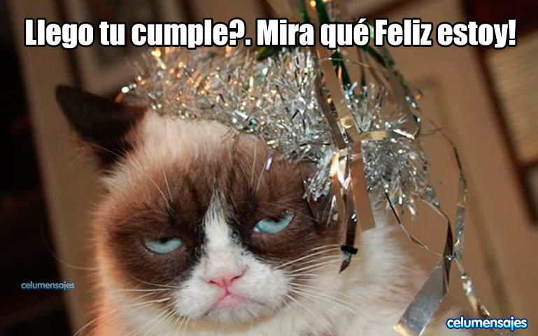 Llego tu cumple? mira que feliz estoy...