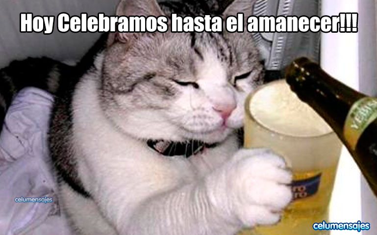 Hoy celebramos hasta el amanecer