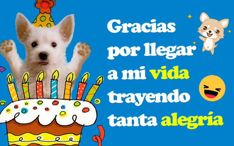Gracias por llegar a mi vida trayendo tanta alegría