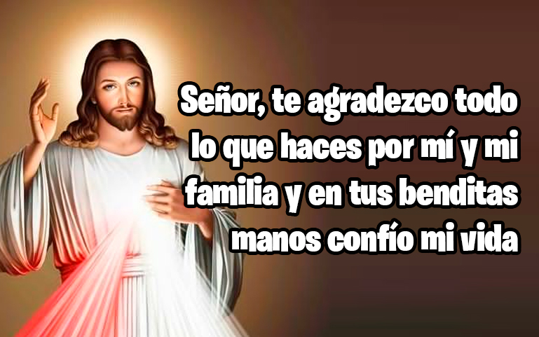 Señor, te agradezco todo lo que haces por mí y mi familia y en tus benditas manos confío mi vida
