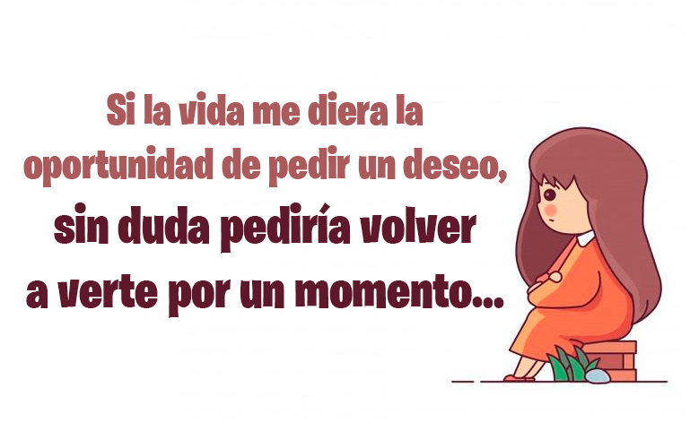 Si la vida me diera la oportunidad de pedir un deseo, sin duda pediría volver a verte por un momento…