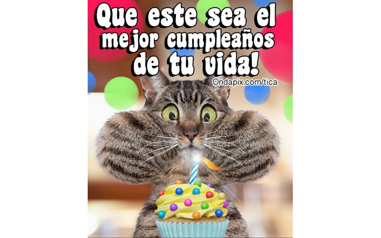 Que este sea el mejor cumpleaños de tu vida!!! :)