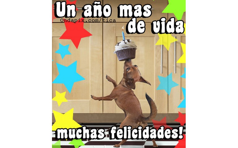 Un año más de vida! Muchas Felicidades!!! :D :D :D